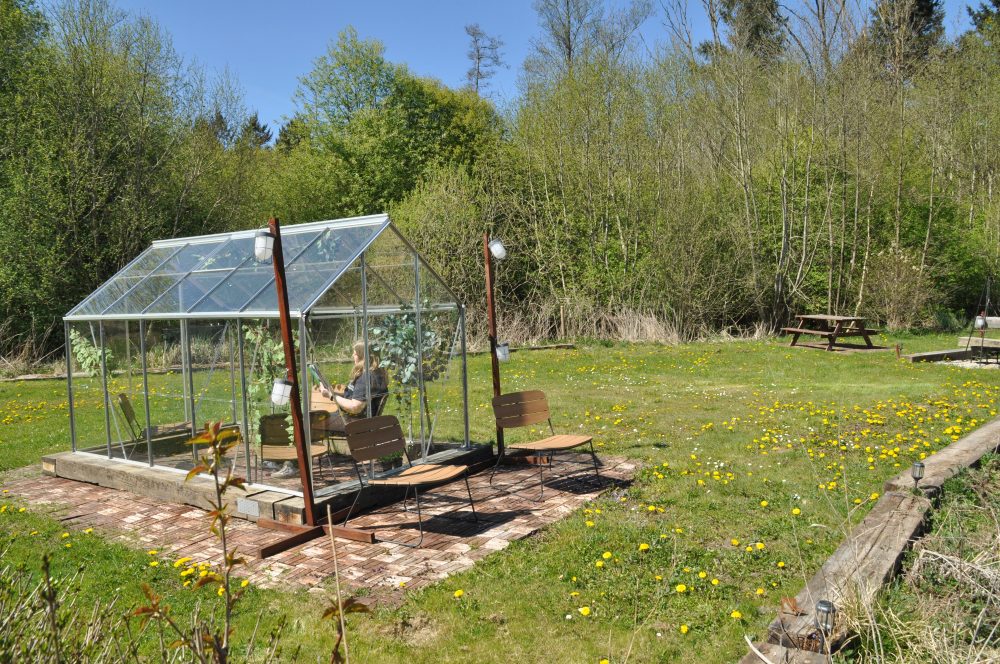 Et lille drivhus i glas står på Skovly camping. Inde i drivhuset sidder en person ved et bord omgivet af planter. Udenfor ses grøn græsplæne med gule blomster, træer i baggrunden samt et picnicbord og havemøbler.